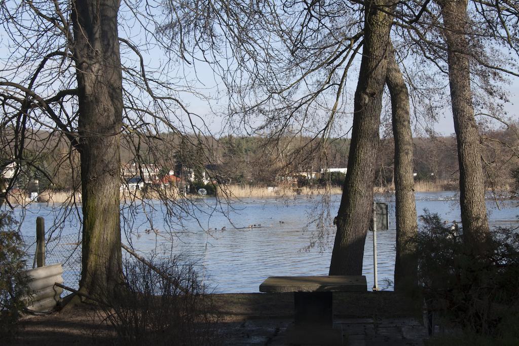 Villa Weissensee بوتسدام المظهر الخارجي الصورة
